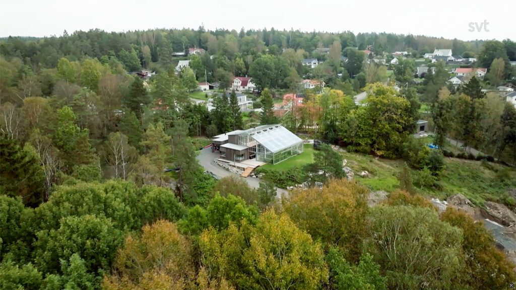 Vad hände sedan? - Husdrömmar 2024